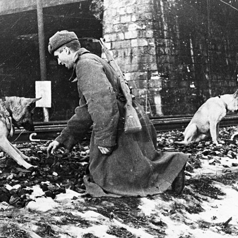 Советские саперы обследуют территорию возле железной дороги в Будапеште, февраль 1945 г.
